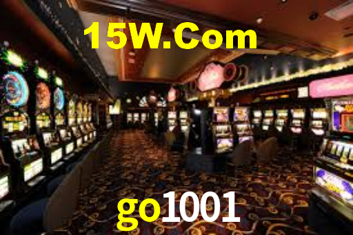 Premium Interface go1001