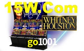 Experiência VIP go1001